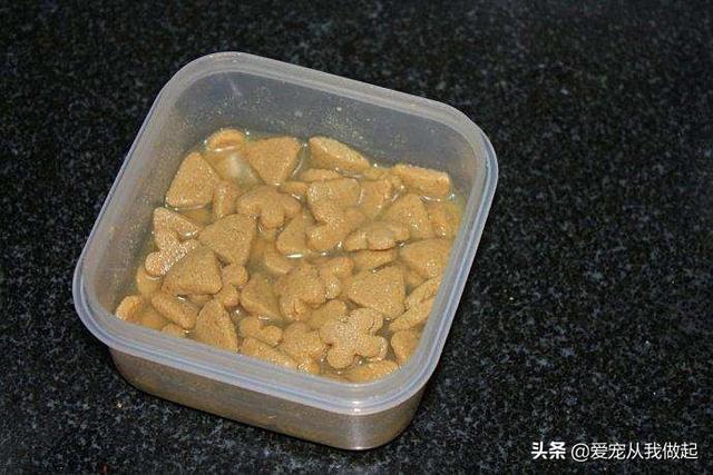 猫咪口腔溃疡怎么处理,第2张