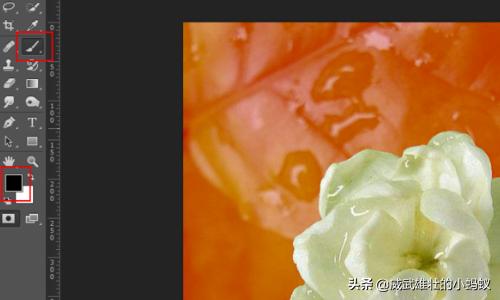 蒙版的作用ps蒙版的作用