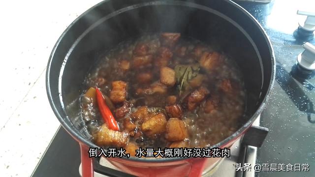 红烧肉怎么烧的又嫩又好吃视频-红烧肉怎么烧的又嫩又好吃视频教程