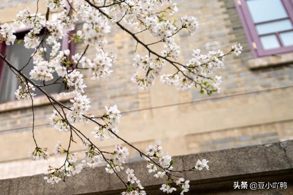 理科二本大学排名及分数线,江苏理科二本大学排名及分数线