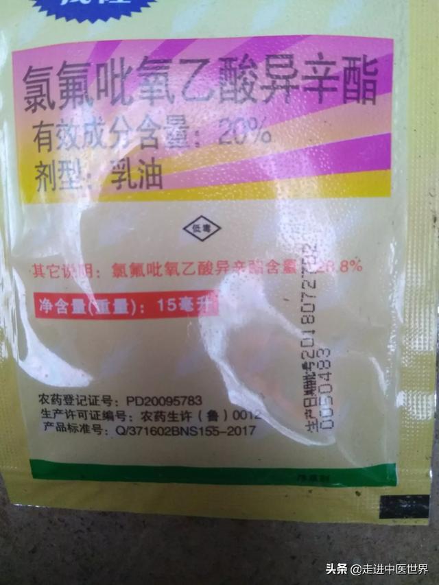 绿化草皮用什么除草剂