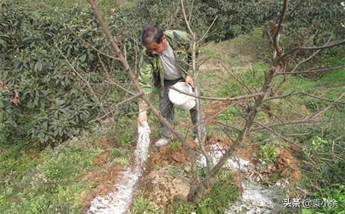 种植果园土地性质有哪些,种植果园土地性质有哪些类型