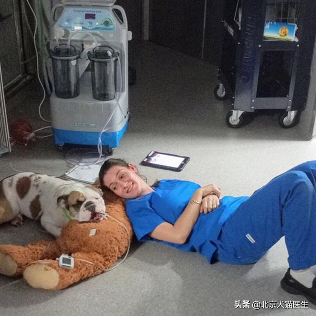 吃屎吧你（怼别人说：你吃屎啦？别人回答：我不吃你。该如何反驳回去？）