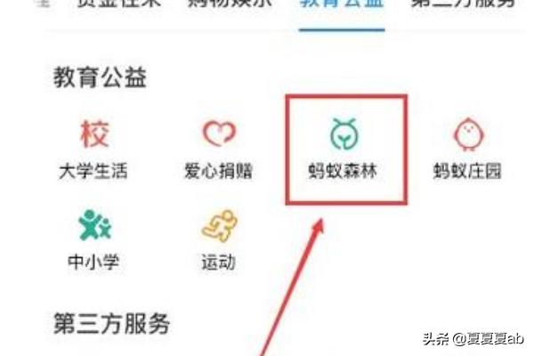 蚂蚁森林时光加速器 蚂蚁森林时光加速器加速多久-第1张图片-春华游戏网