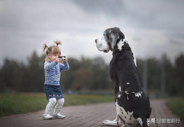 寵物與嬰兒?寵物與嬰兒故事!