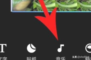 秀秀视频来电秀秀视频