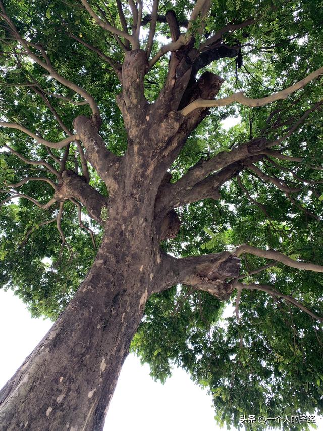 好姻缘_好姻缘的成语