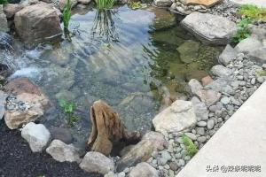庭院水池布局？：庭院池塘景观设计