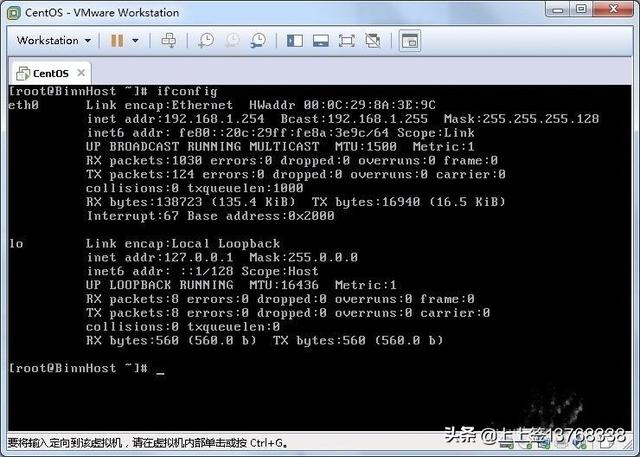 centos linux 搭建网站