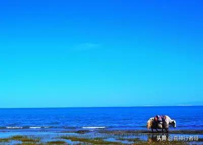 青海攻略必去的景点图片(图7)