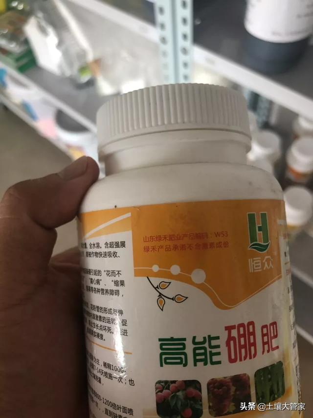 瓜果蔬菜种植商家，瓜果蔬菜种植商家赚钱吗