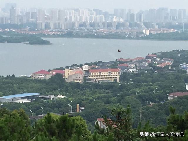 迪庆藏族自治州香格里拉市纸飞机账号购买