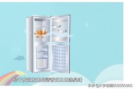 怎么去除冰箱异味(图5)