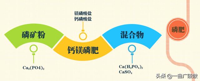 影响花卉生长发育的主要生态因子-影响花卉生长发育的主要生态因子有哪些