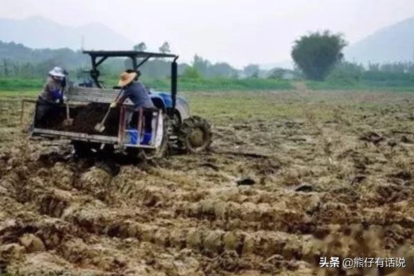 大米的专业知识，大米的专业知识介绍