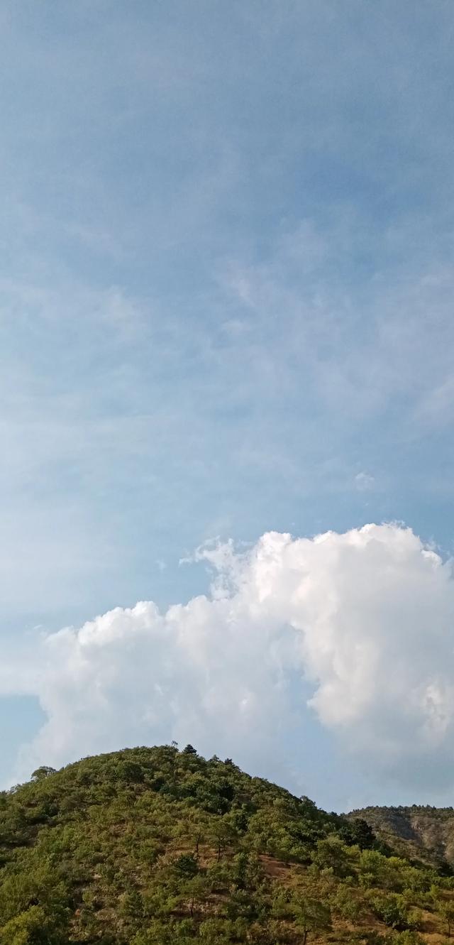 绿色镌像完整版免费，绿色镌像完整版免费下拉式未删减