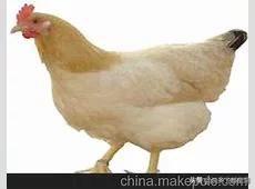 泰山论坛饲料-泰山饲料怎么样