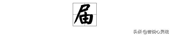新一届国家机构领导-
