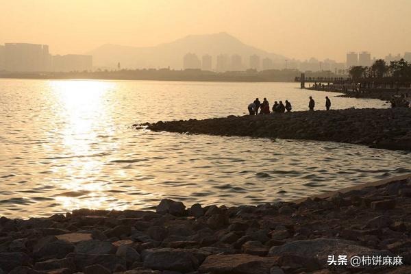 深圳好玩的地方一日游（深圳红树林深圳湾一日游攻略？）