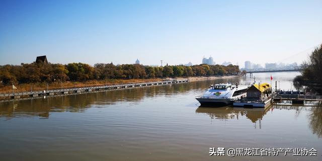 我想去东北三省旅游，不知道哪个城市比较好玩，消费低，当地人好客的