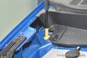 去海外生活保养，去海外生活保养怎么样