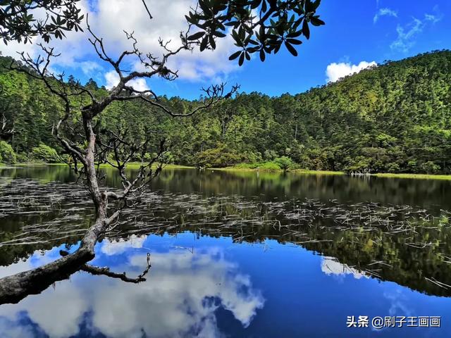 有哪些值得一看的免费景点