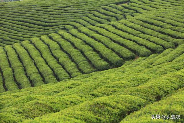 [心死了]一个心死的人，要怎样才能让心从新复活呢？