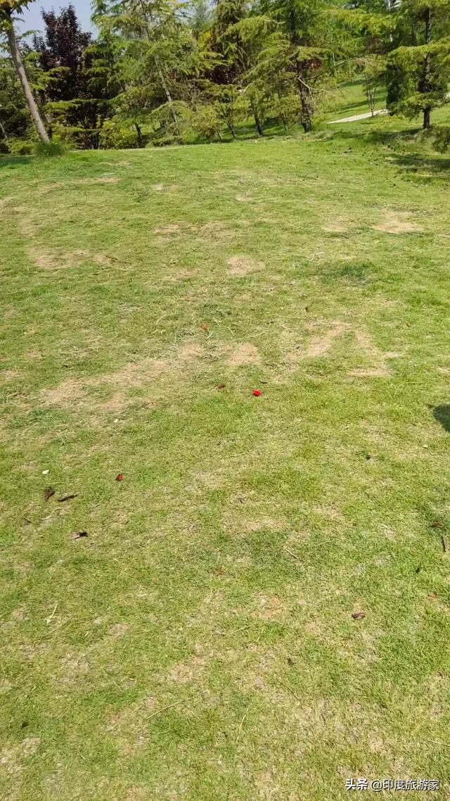 旅游意外险出险经过怎么写 旅游意外险怎么买划算？