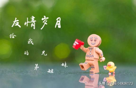 关于友情的唯美句子朋友圈_关于友情的唯美句子朋友圈文案