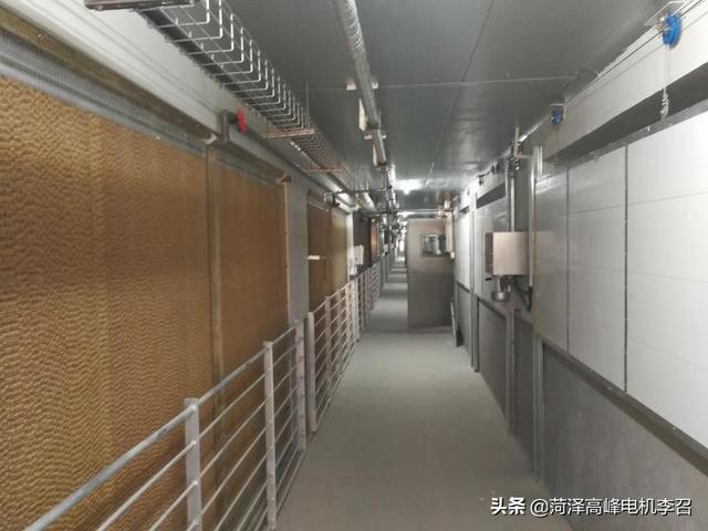 养猪创业 饲料赊账-养猪创业 饲料赊账怎么做账