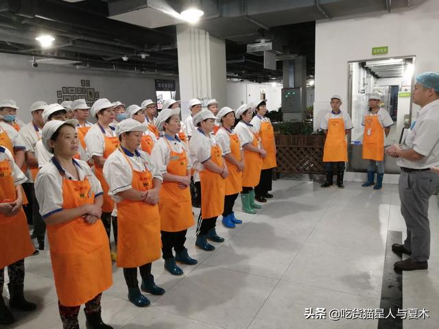如何开一家餐饮技术培训公司