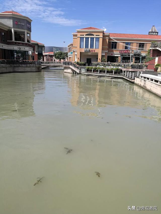 江苏旅游城市排行榜