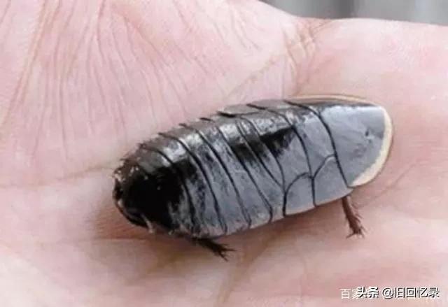 北京益农饲料中心-北京益农饲料中心官网