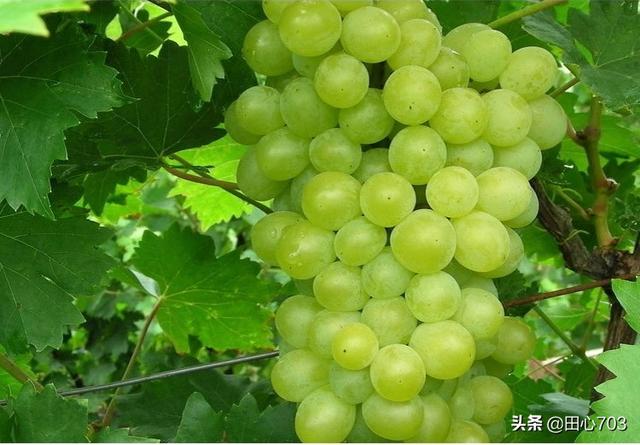新疆旅游穿搭夏季女学生， 新疆旅行穿搭