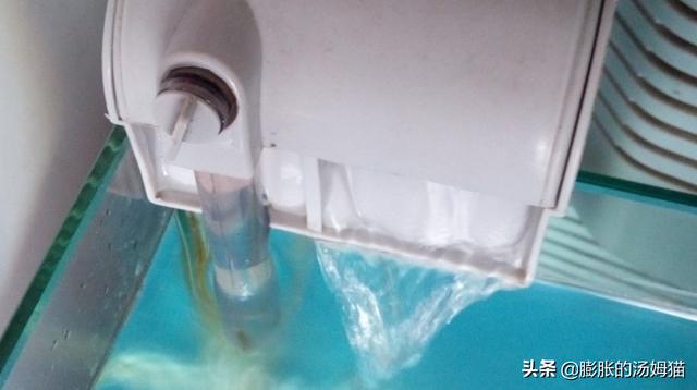 如何自己更换鱼缸抽水泵的过滤网,第10张