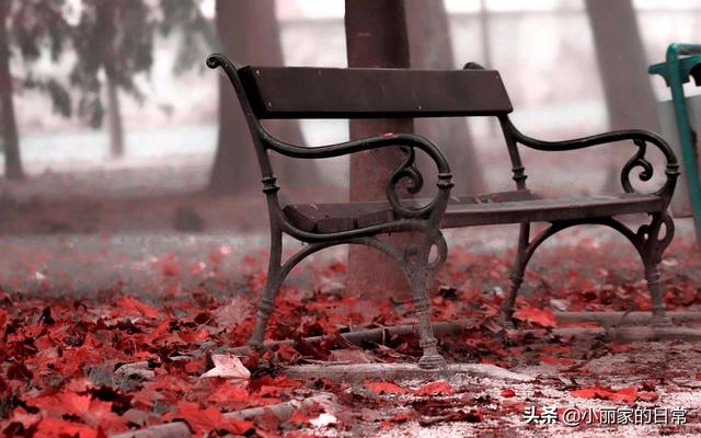 真实爱情故事感人故事（令人羡慕的真实爱情故事）