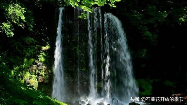 我家的餐桌-我家的餐桌祖辈父辈自己