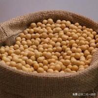 大豆油期货行情-大豆油期货行情走势图