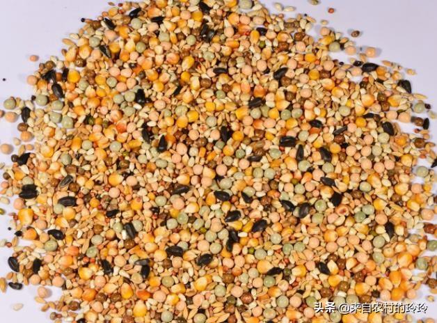 饲料行业技术网-饲料行业技术网站有哪些