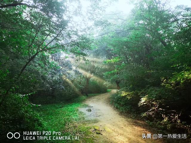 学生旅游文字表达心情-学生旅游文字表达心情的句子