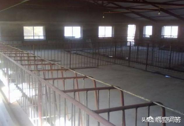 建一个500平方猪圈要多少钱呢 建个年出栏500头育肥猪的生态猪舍要多少钱？