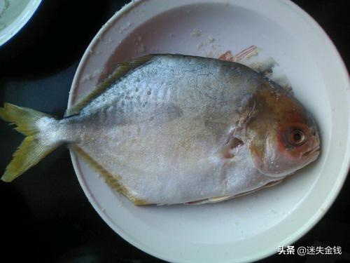 清蒸鲳鱼的做法（清蒸鲳鱼的做法？）