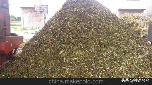 牛断饲料有什么反应-牛断饲料有什么反应吗