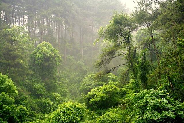 桂林市龙泉小学怎么样