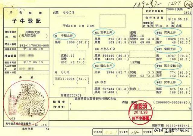 和牛的等级判定,第2张