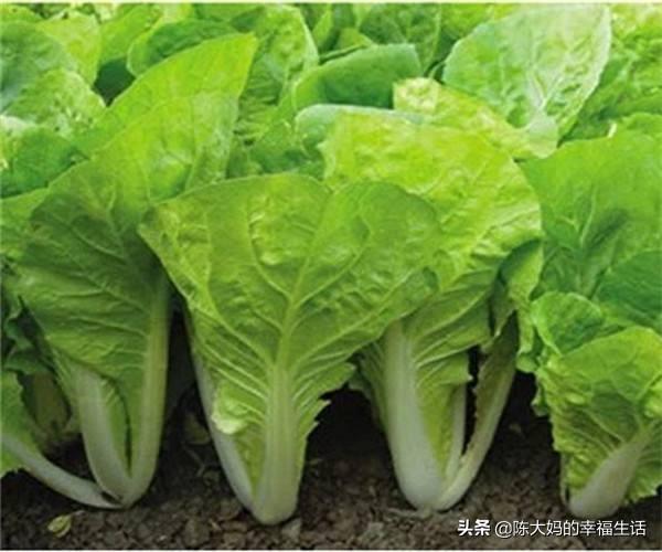 农家土菜做法大全集视频(图10)