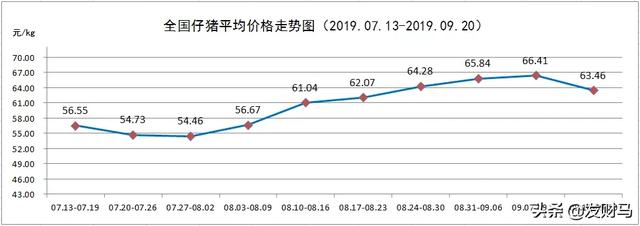 养殖仔母猪-母猪及仔猪养殖技术