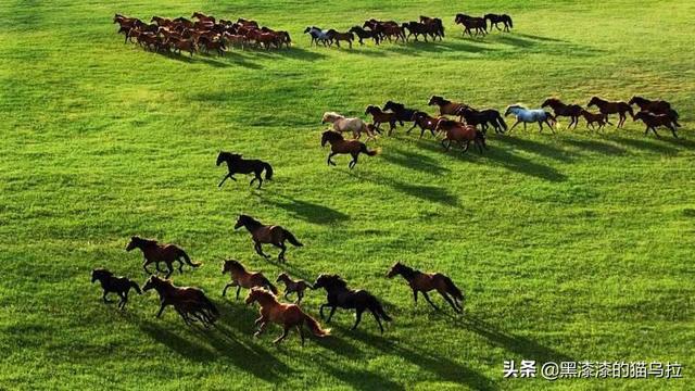 呼和浩特大草原呼和浩特大草原图片