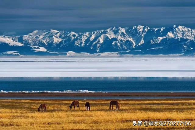 一个人出远门的文案让人看了心疼，形容旅行伤感的句子