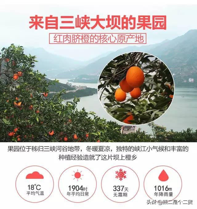 湖南脐橙种植果园基地地址,湖南脐橙种植果园基地地址在哪里